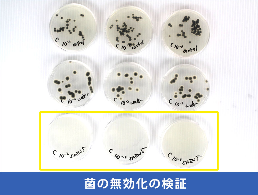 微酸性電解水の菌の無効化の検証画像